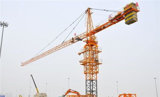 強力塔吊5010最多能吊多少