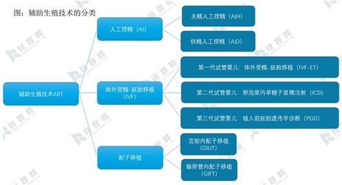 從生命到芯片 輔助生殖技術與IT零售的跨界洞察